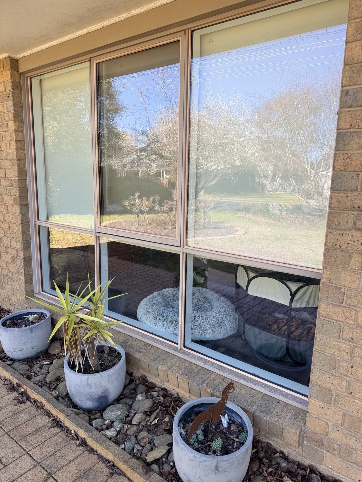 Glazed windows in a brick wall with potted plants below